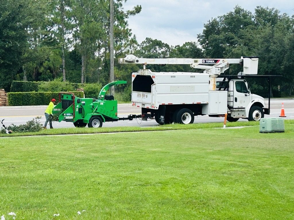 Tree Shaping in Middle Tennessee