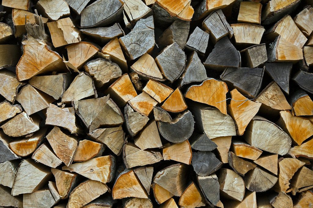 Cut hardwood logs stacked after a tree removal