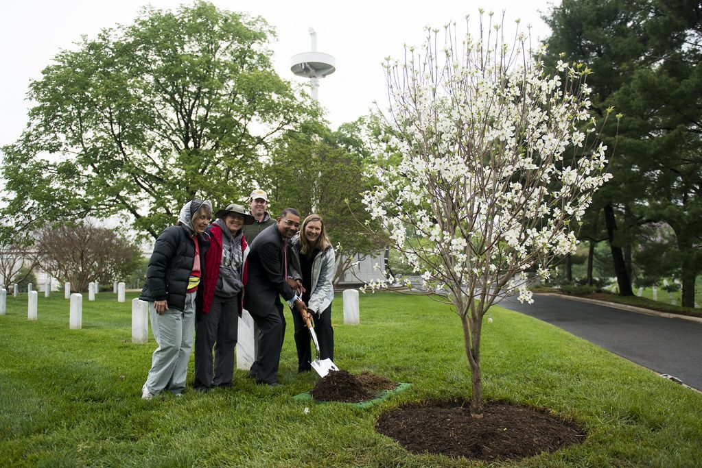 Tree Planting in Middle Tennessee